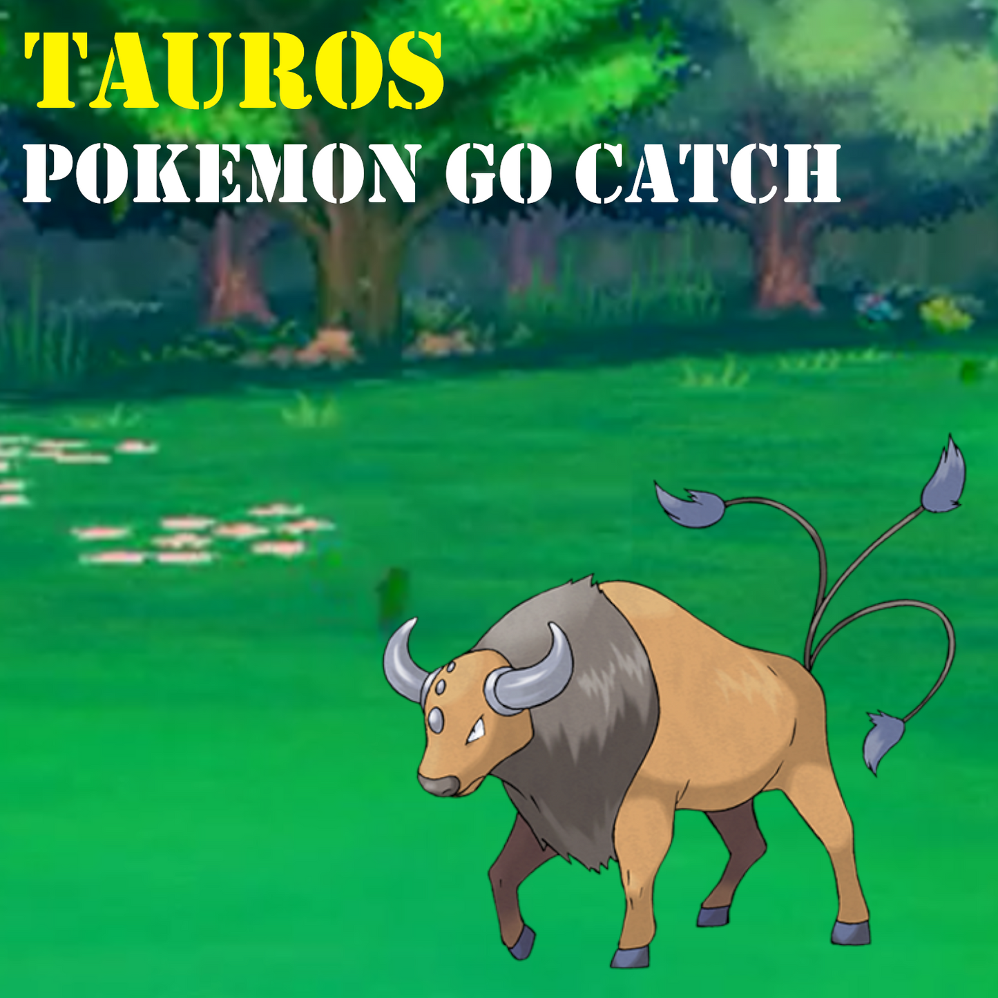 Pokémon GO Catch - Tauros - Regional Pokemon