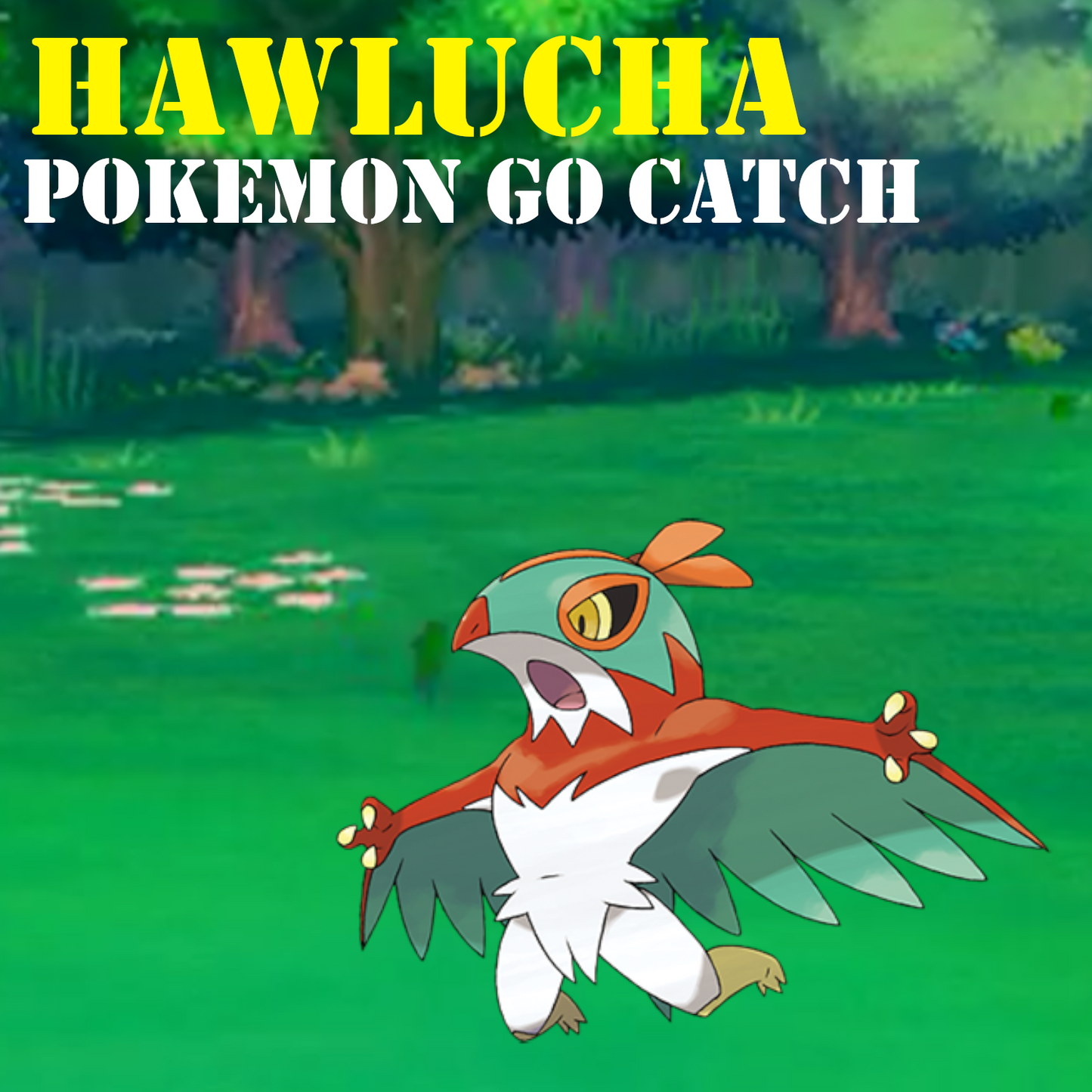 Pokémon GO Catch - Hawlucha - Regional Pokemon