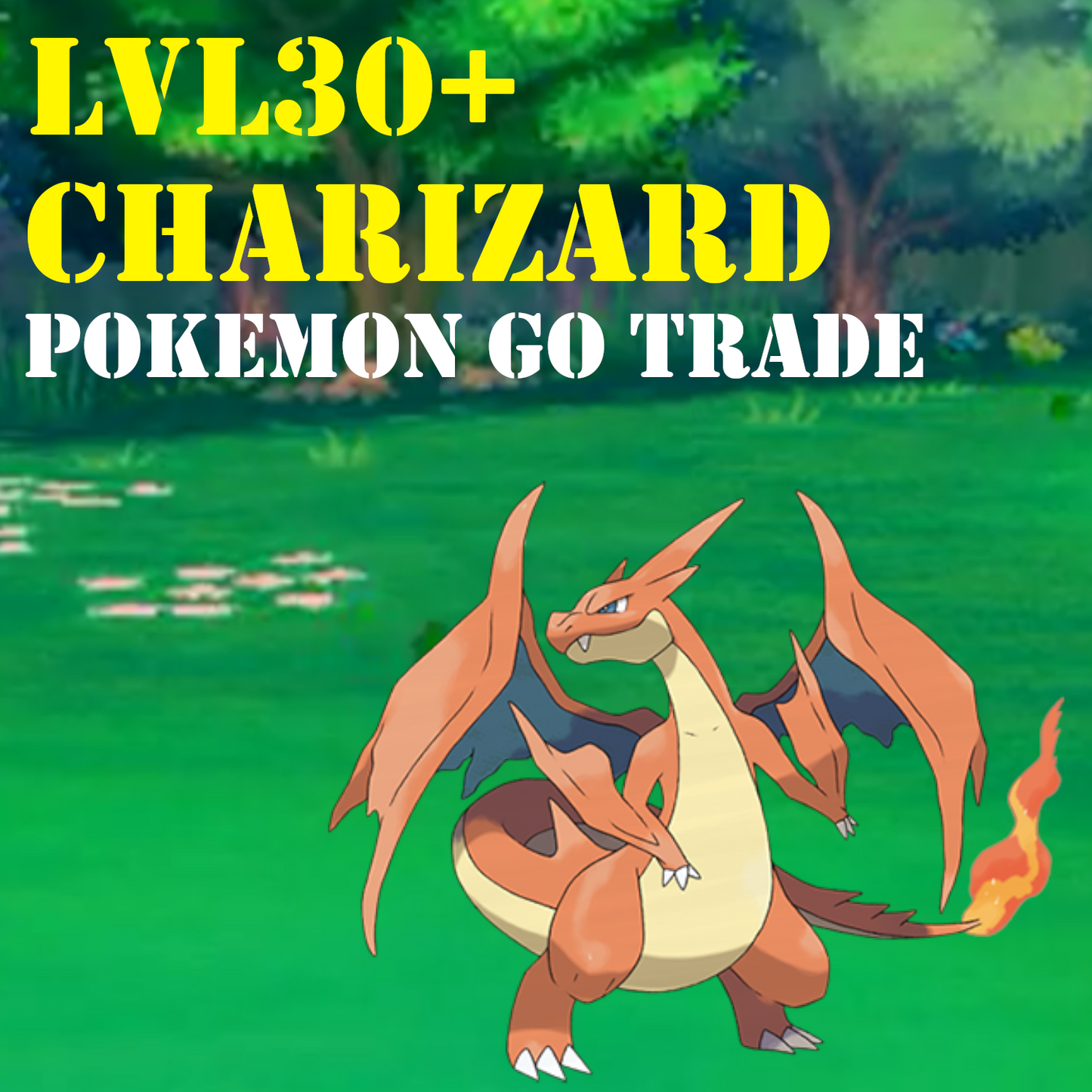 Pokémon GO Trade - Lvl30+ Charizad - RARE Pokemon